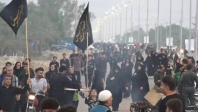 پیادهروی 15 کیلومتری ولایت در دشتستان