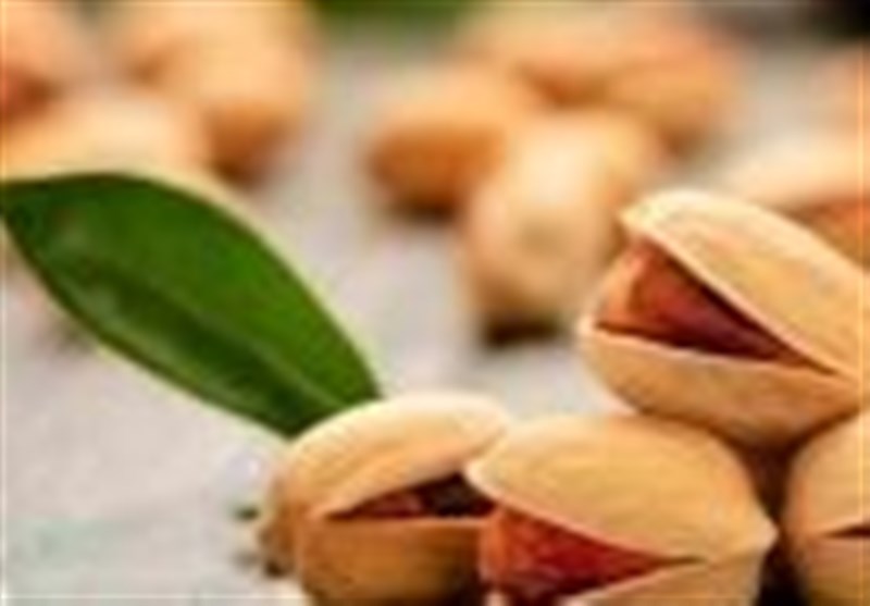 پیشبینی برداشت 900 تن پسته در کاشان