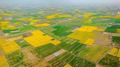 پیگیری مطالعات خاکشناسی در لرستان