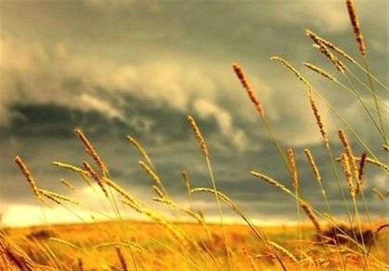 کشت پائیزه در 90 هزار هکتار اراضی چهارمحال و بختیاری
