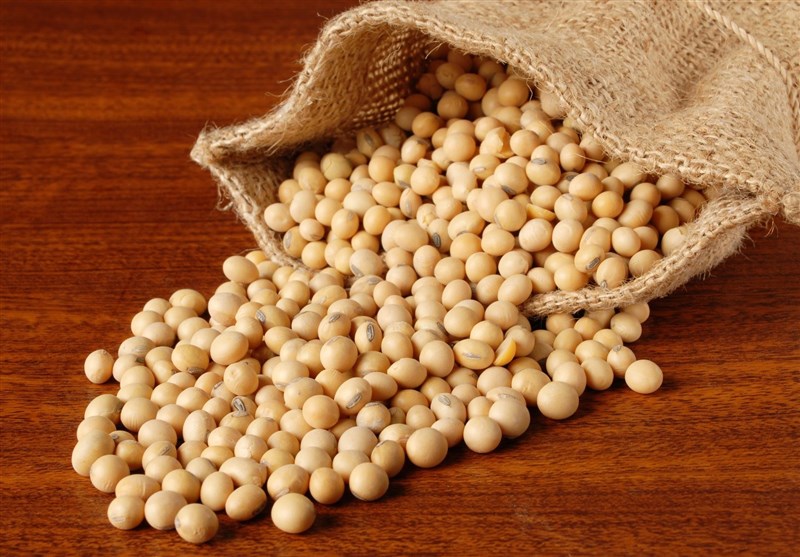 کشف یک هزار تن دانه سویای غیرقابل مصرف در فارس