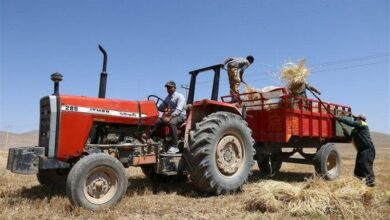 20 درصد شاغلین بخش کشاورزی فارغالتحصیلان رشته کشاورزی هستند