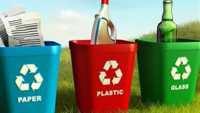 65 درصد زبالههای گیلان توسط خانوار تولید میشود