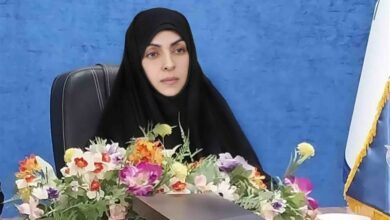 اجرای 3 طرح در جهت کاهش آسیبهای اجتماعی در خراسان جنوبی