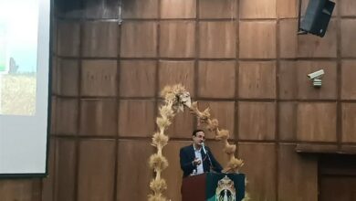 استان مرکزی 3 برابر مصرف استان گندم تولید میکند