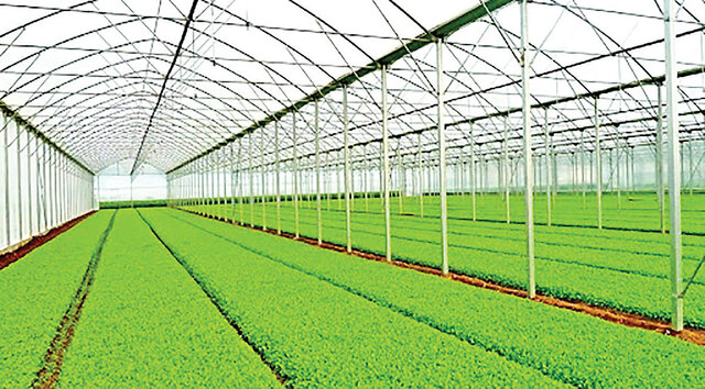 استفاده از ظرفیت شرکت شهرکهای کشاورزی در برنامه هفتم توسعه