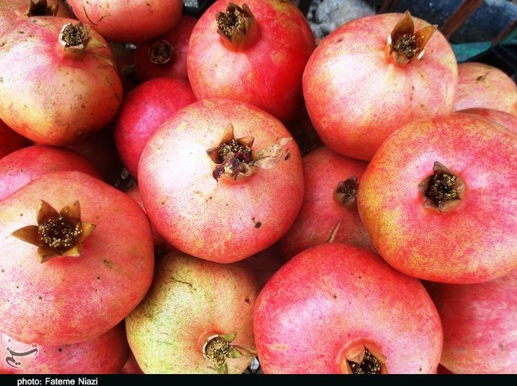 استان لرستان , کشاورزی ,