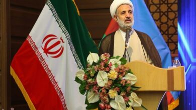 انتقاد ذوالنوری از ضعف نظارت دولت بر بانکهای خصوصی