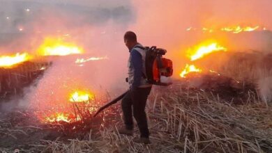 برخورد شدید قضایی با عاملان آتشسوزی در مزارع لرستان