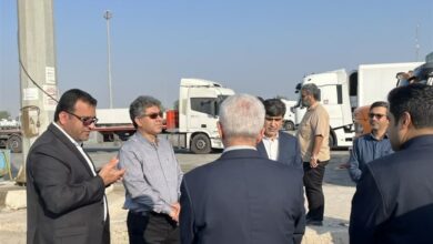 ترانزیت خارجی یکمیلیون تنی از بندر بوشهر