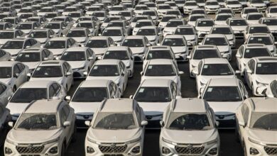 ترخیص خودروهای خارجی از بندر شهید رجایی + فیلم