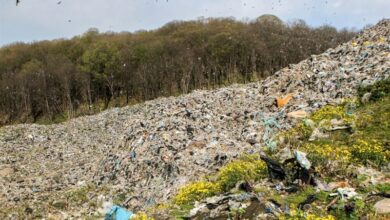 جمعآوری روزانه 2 تن زباله در تبریز با پرهزینهترین روش!