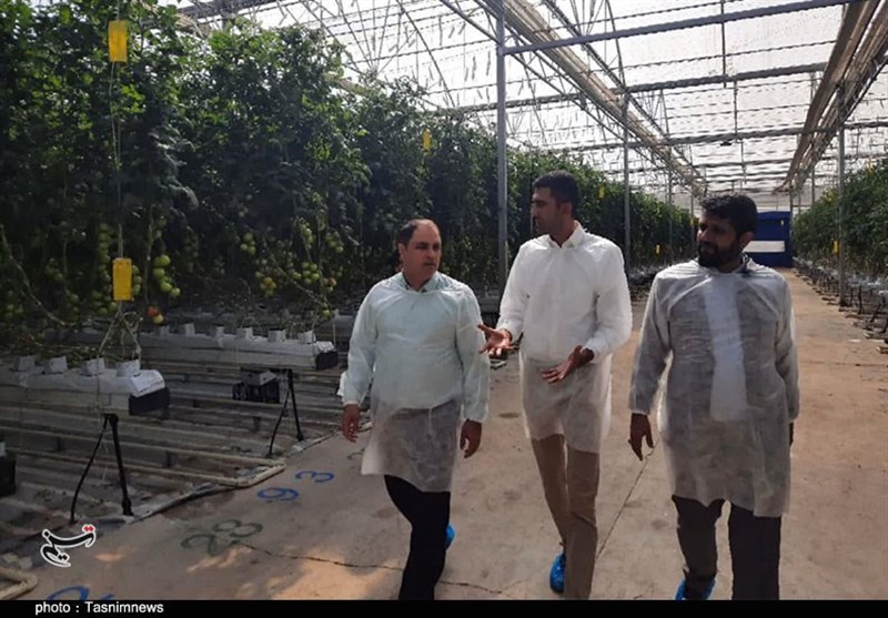 استانداری کرمان , استان کرمان , کشاورزی , معدن ,