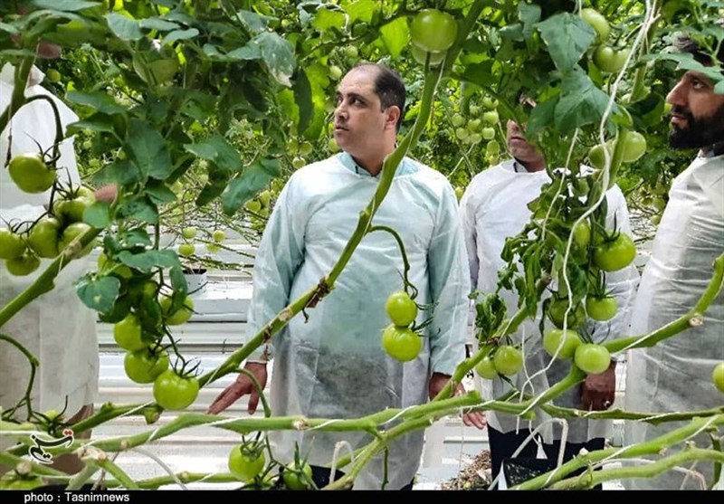 استانداری کرمان , استان کرمان , کشاورزی , معدن ,