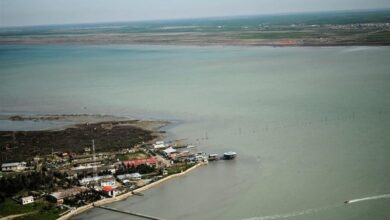 دستور عارف برای استقرار لایروب دوزیست در خلیج گرگان