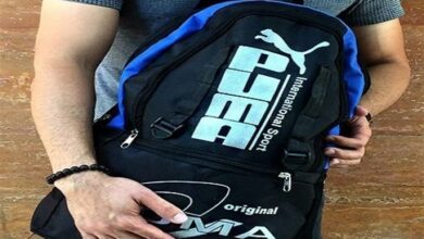 دستگیری کیفقاپ حرفهای در زنجان +فیلم