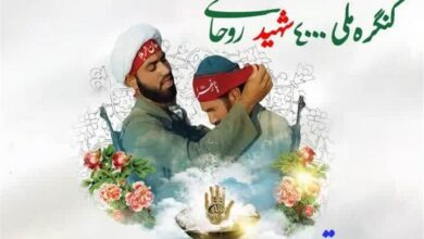 دومین یادواره شهدای روحانی فارس برگزار میشود