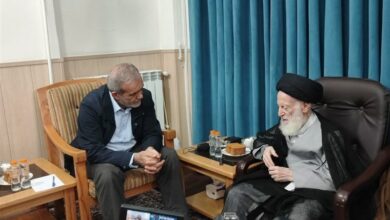 رئیس جمهور با آیتالله شبیری زنجانی دیدار کرد