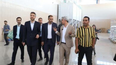 راهاندازی دانشگاه بینالمللی در منطقه اقتصادی خراسان جنوبی