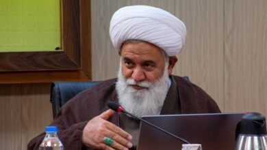رشاد: برخی نظریهها به ظهور دانشهای جدید منجر میشوند