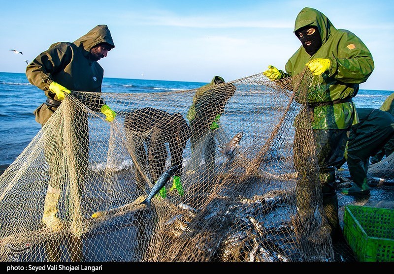 گزارش| روایت تسنیم از صیادانی که دل به دریای خزر میزنند
