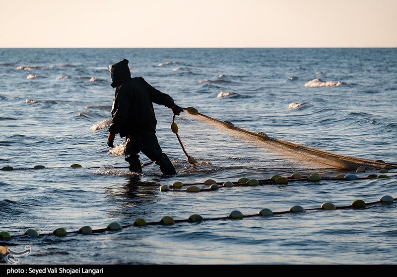 گزارش| روایت تسنیم از صیادانی که دل به دریای خزر میزنند