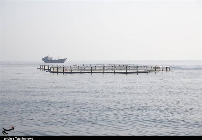 گزارش| روایت تسنیم از صیادانی که دل به دریای خزر میزنند