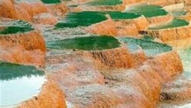 سرمایهگذاری 210 میلیارد ریالی در محور گردشگری چشمه سورت