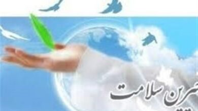 _شورای_ _بانوان_ _خیرین_ _سلامت_، _بیماران_ _نیازمند_ _را_ _اولویت__بندی_ _کند_