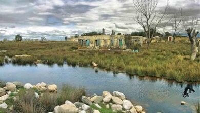 عقبنشینی محیط زیست از طرح جنجالی/ سوءبرداشت از آشوراده