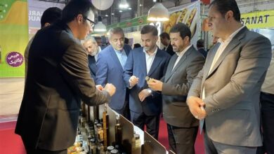 فعالیت صنایع کوچک نمونه بارز مشارکت مردمی در جهش تولید