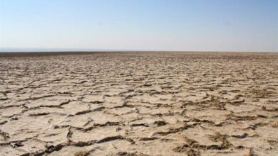 قطع حقابه و کمبود آب؛ مهمترین عوامل ایجاد ریزگردهای قم