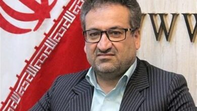 لزوم همافزایی دولت ومجلس برای مقابله با مافیا در صنعت خودرو