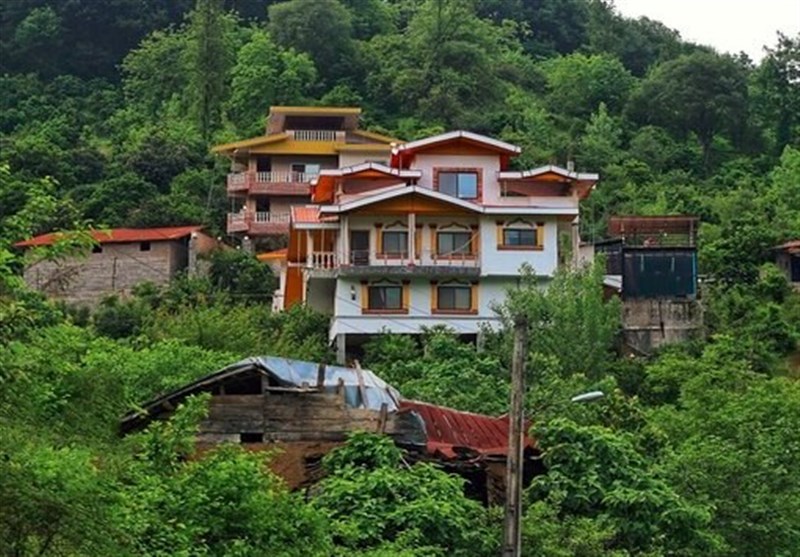 ماجرای جنگلخواری پیچیده آقازادهها/ ویلاسازی در دل جنگل!