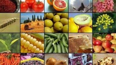 مبادلات تجاری 954 هزار میلیاردی کردستان در نیمه نخست امسال