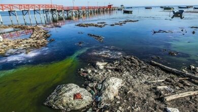 محیط زیست سنگاندازی نکند/ طرح گردشگری آشوراده مجوز دارد