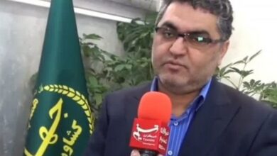 مدیرِ اهلسنت کردستان، معاون وزیر جهاد کشاورزی شد