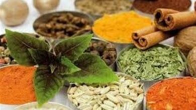 هدف طب ایرانی ارائه خدمات کمهزینه و کمعارضه است