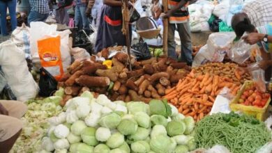 والدین به خاطر کودکان غذا نمیخورند