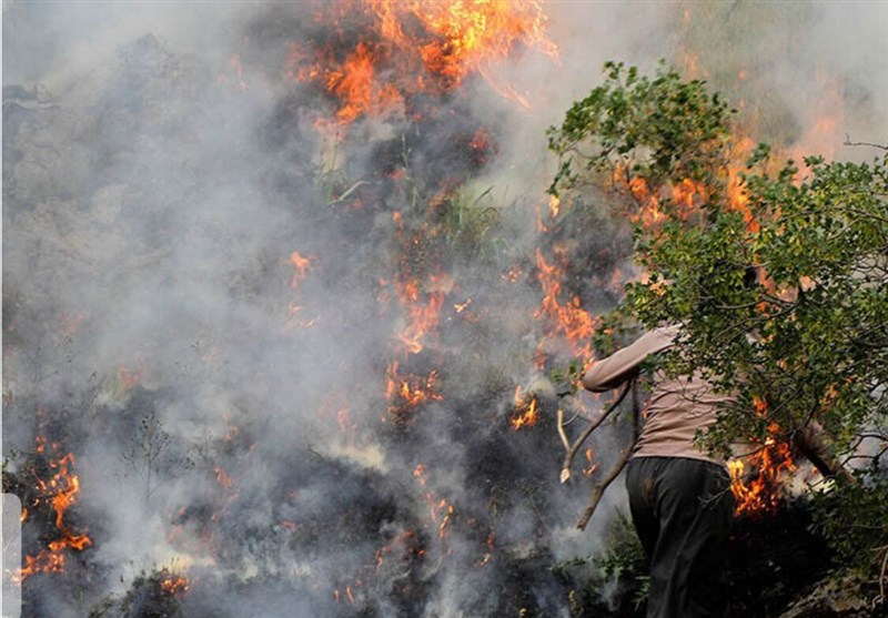 واکاوی علل آتشسوزی در جنگلهای کردستان/ باز هم انسان!