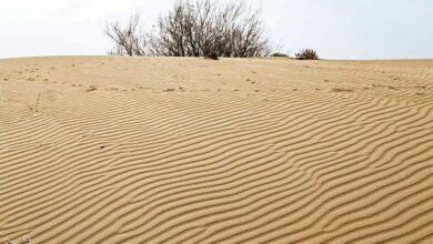 _وضعیت_ _بحرانی_ _کانون__های_ _گردوغبار_ _و_ _خشک_ _شدن_ _تالاب__ها_ _در_ _قم_