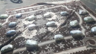 وقتی بیتوجهی والدین کودک 2 ساله راوری را به کما برد