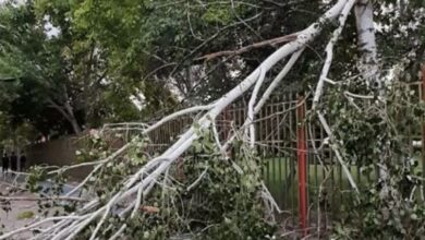 پیشبینی وزش باد شدید تا وسط هفته در کردستان