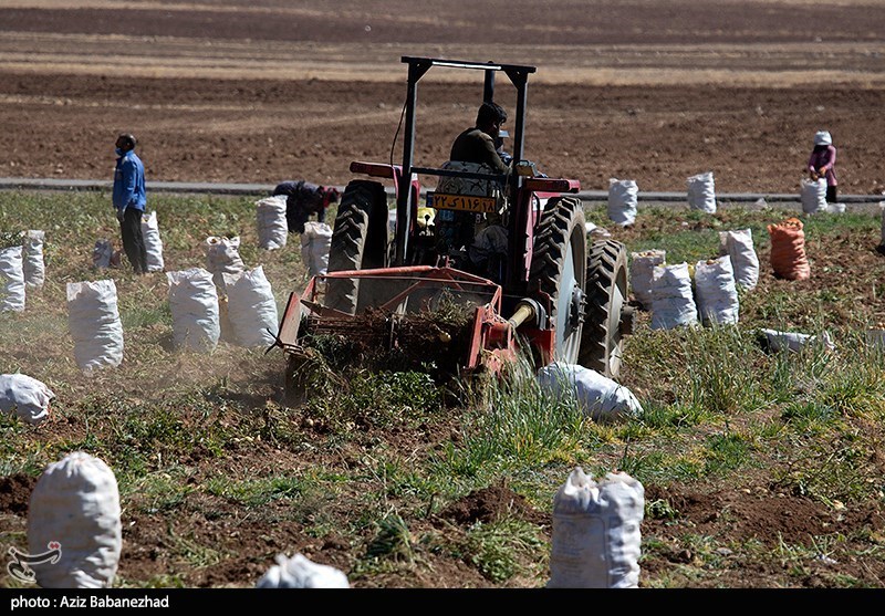 کشاورزان غیربومی و اتباع غیرمجاز در مزارع اجارهای لرستان