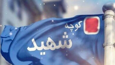 کوچهها و معابر شیراز، مزین به نام شهیدان