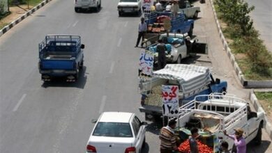 گرانفروشی بعد از ساماندهی میوه فروشیهای سیار