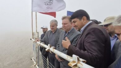 10 همت نیاز تکمیل سد دالکی دشتستان