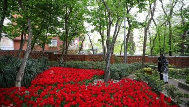 3 بوستان شهری در پردیسان قم احداث میشود