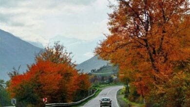 آیا سفر به جاده شمال لذتبخشتر میشود؟ + فیلم و تصاویر