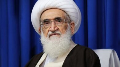 آیتالله نوریهمدانی کشتار مسلمانان پاراچنار را محکوم کرد